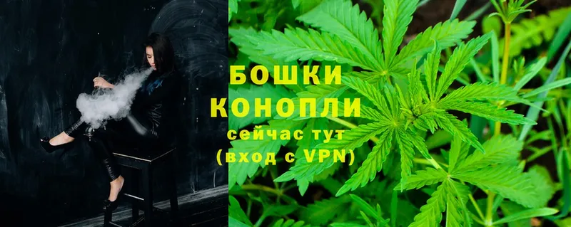 наркота  Новое Девяткино  Бошки Шишки OG Kush 